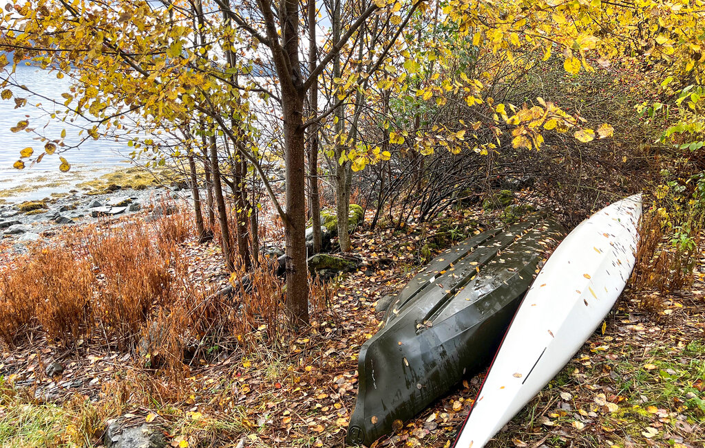 Feriehus - Fosen/Bjugn , Norge - N38238 12