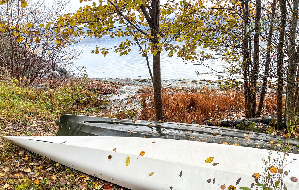 Feriehus - Fosen/Bjugn , Norge - N38238 8