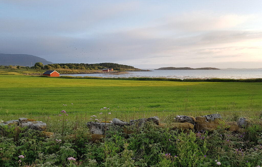 Ferienhaus - Roan//Trøndelag , Norwegen - N38140 17