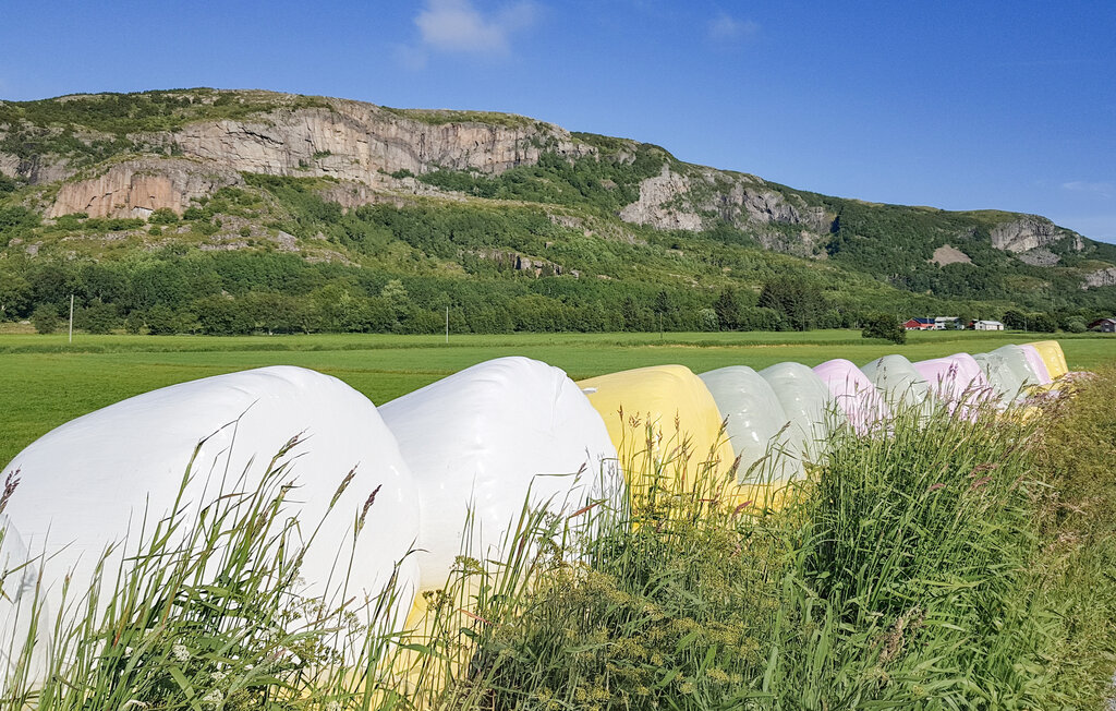 Ferienhaus - Roan//Trøndelag , Norwegen - N38140 20