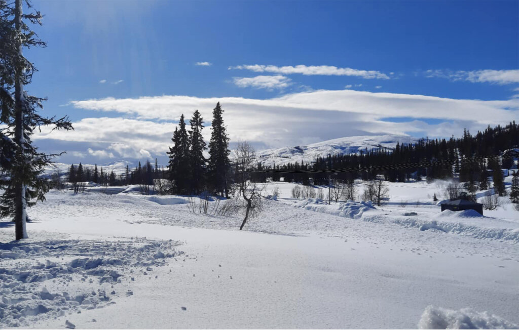 Semesterhus - Røyrvik/Børgefjell , Norge - N38257 21
