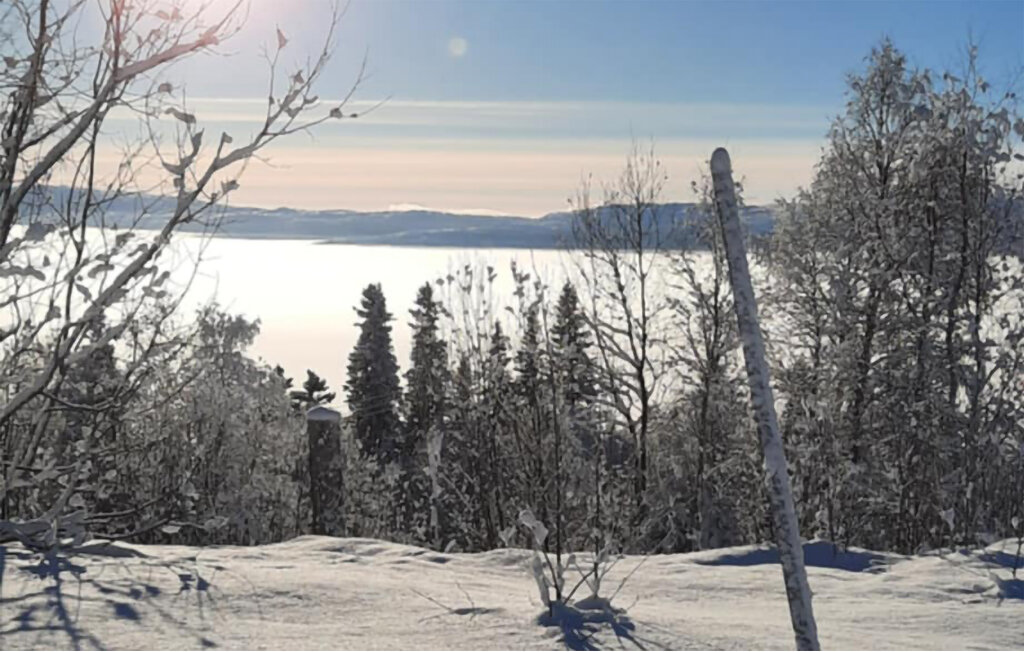 Semesterhus - Røyrvik/Børgefjell , Norge - N38257 23