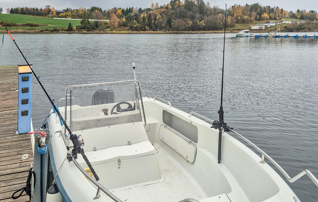 Domy wakacyjne - Frosta , Norwegia - N38242 18