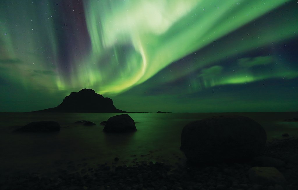 Feriehuse - Vega/Nes/Gomotuva , Norge - N39001 23