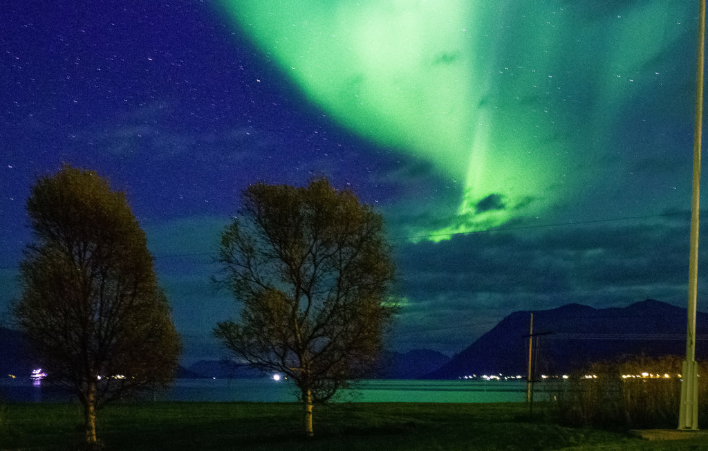 Ferienhaus - Tromsø , Norwegen - N39177 5
