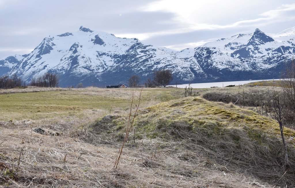 Ferienhaus - Nordland , Norwegen - N39242 14