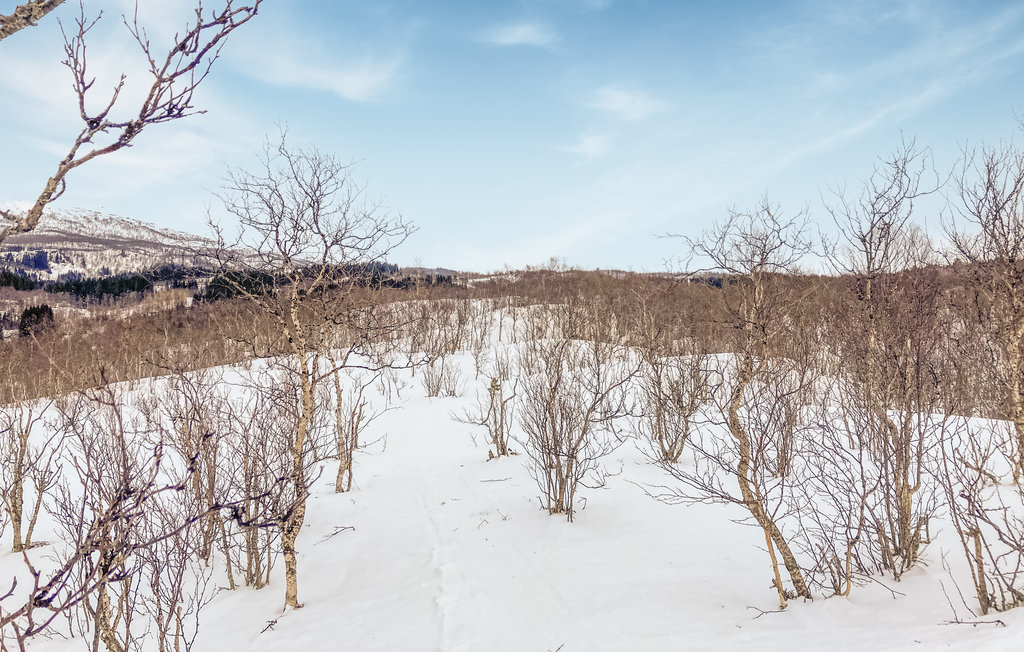 Semesterhus - Ofoten/Evenes , Norge - N39157 23