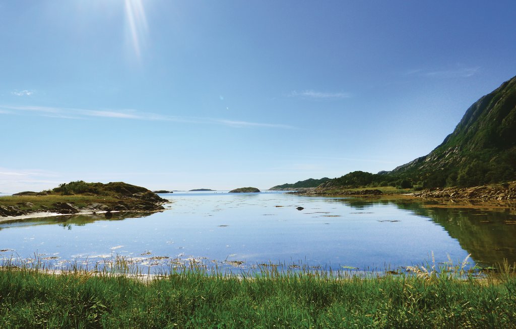 Feriehuse - Vega/Nes/Gomotuva , Norge - N39001 29