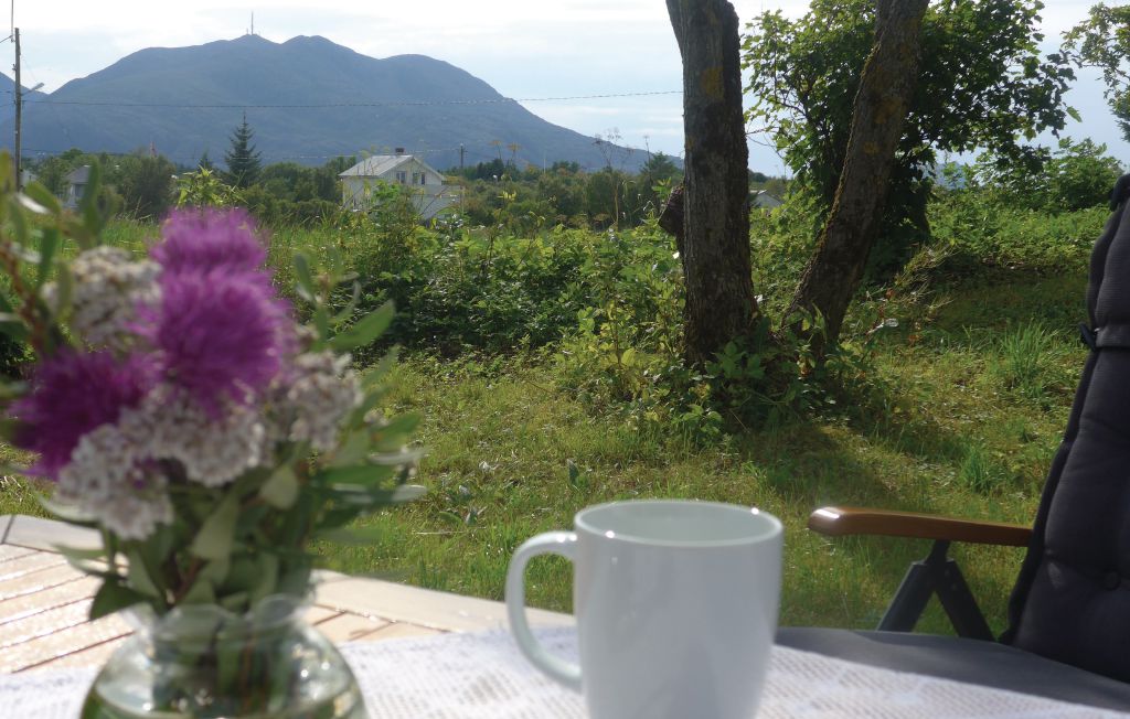 Feriehuse - Vega/Nes/Gomotuva , Norge - N39001 9