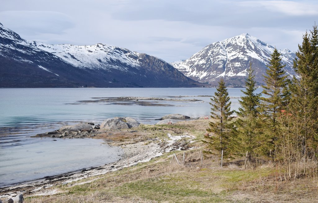 Ferienhaus - Nordland , Norwegen - N39242 12