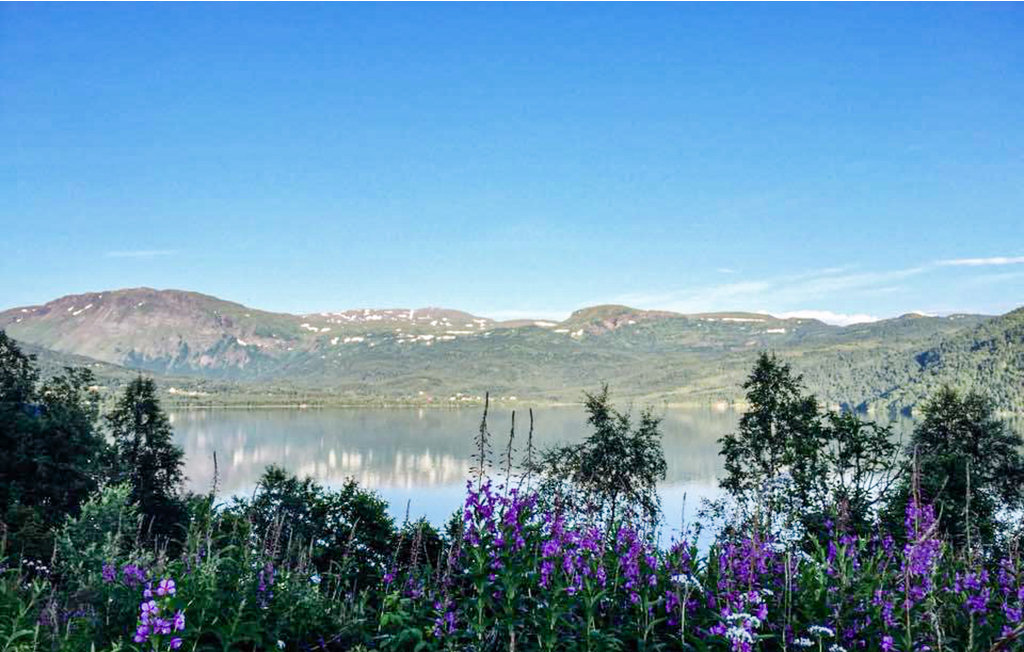 Feriehuse - Narvik/Hartvikvannet , Norge - N39155 28