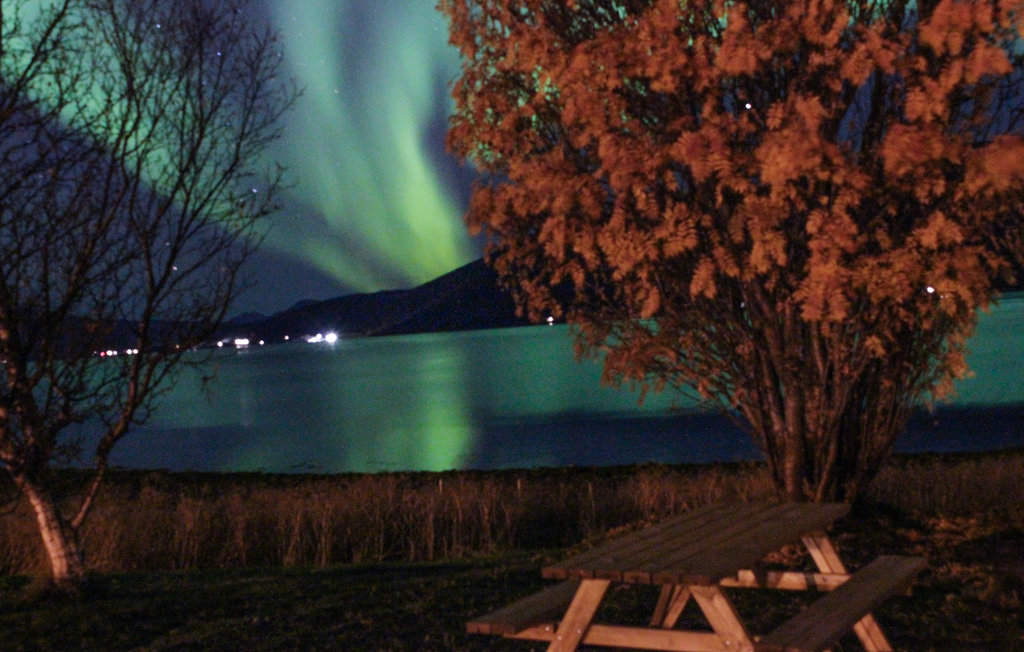 Ferienhaus - Tromsø , Norwegen - N39177 6