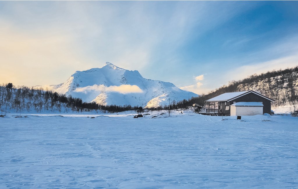 Feriehuse - Tjeldsund/Tjeldøya , Norge - N39042 8