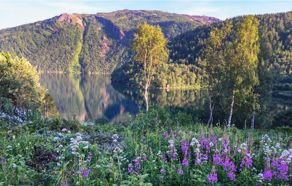 Feriehuse - Narvik/Hartvikvannet , Norge - N39155 27