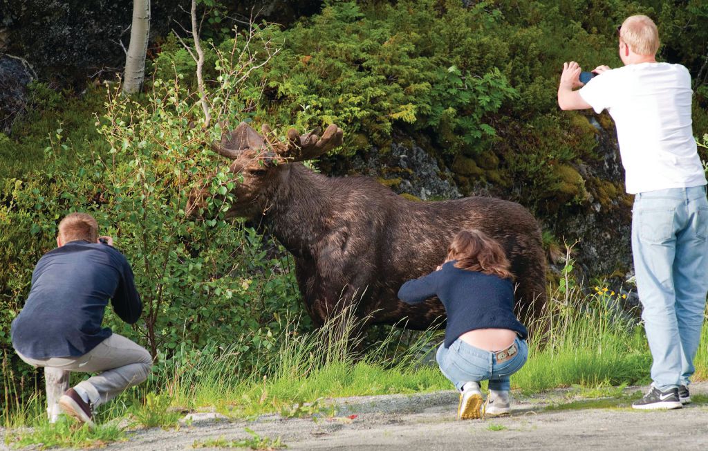 Feriehuse - Ballangen/Efjord , Norge - N39227 22