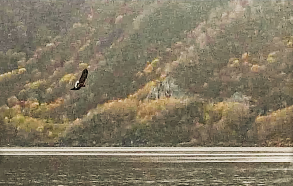 Feriehuse - Kjøpsvik/Tysfjord , Norge - N39158 16