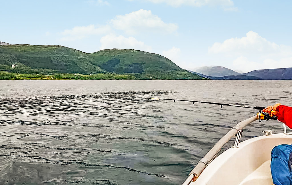 Feriehuse - Kjøpsvik/Tysfjord , Norge - N39158 18