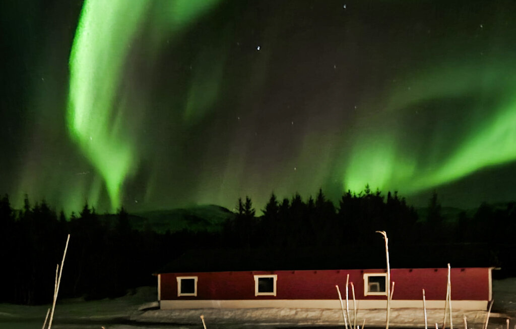 Location de vacances - Nordland , Norvège - N39603 15