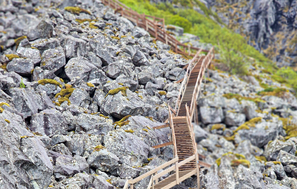 Feriehuse - Vega , Norge - N39239 19