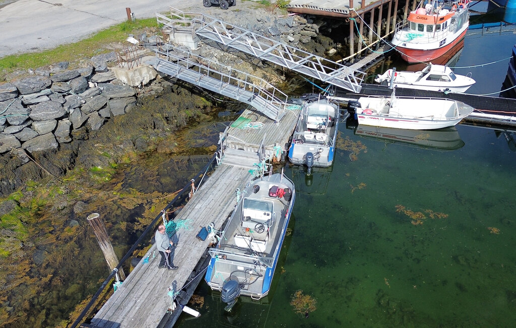 Feriehus - Årøya/Alta , Norge - N39302 8