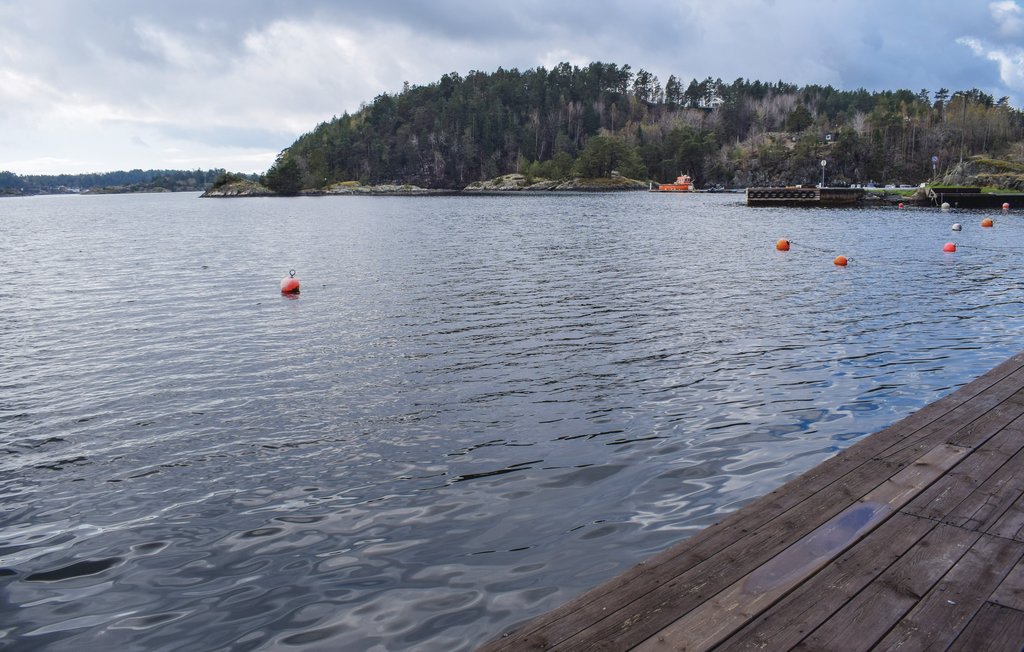 Feriehuse - Dypvåg/Tvedestrand , Norge - NAS011 16