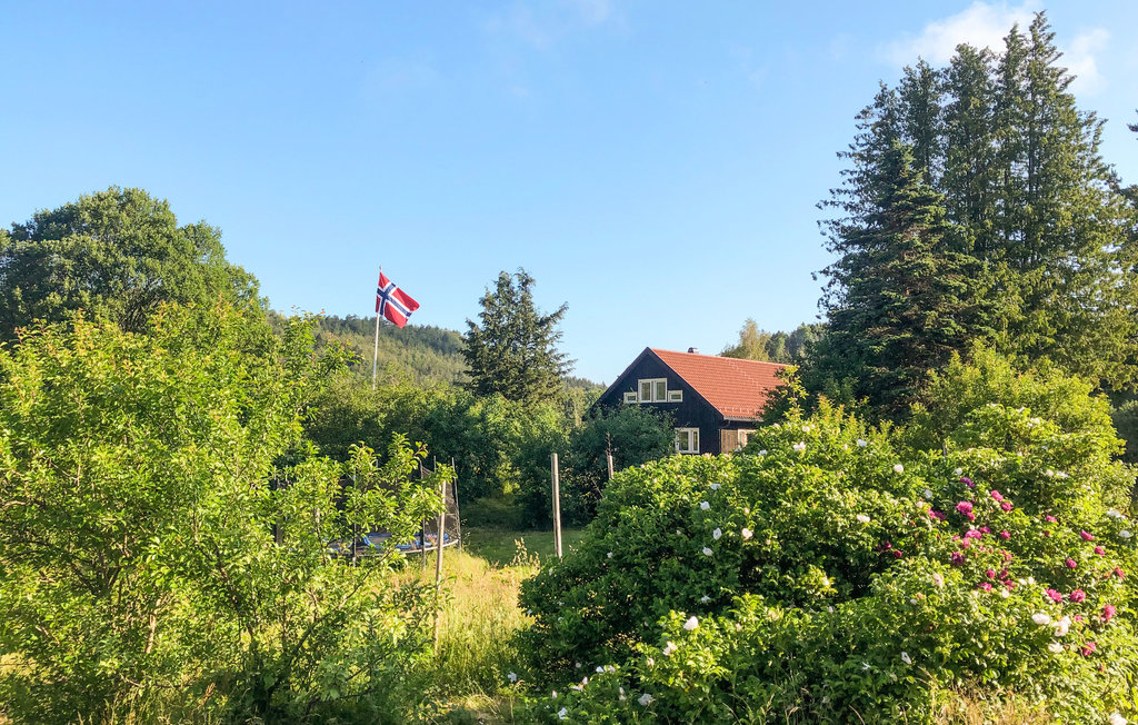 Feriehus - Tvedestrand , Norge - NAS056 9