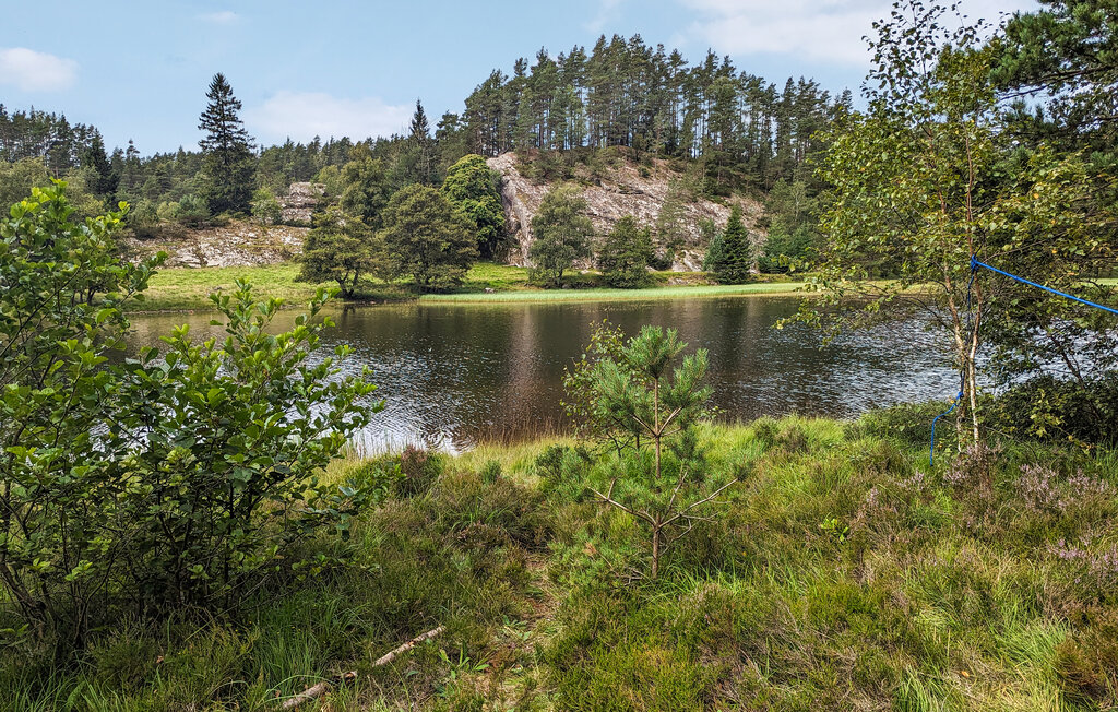 Domy wakacyjne - Feda , Norwegia - NVI003 13