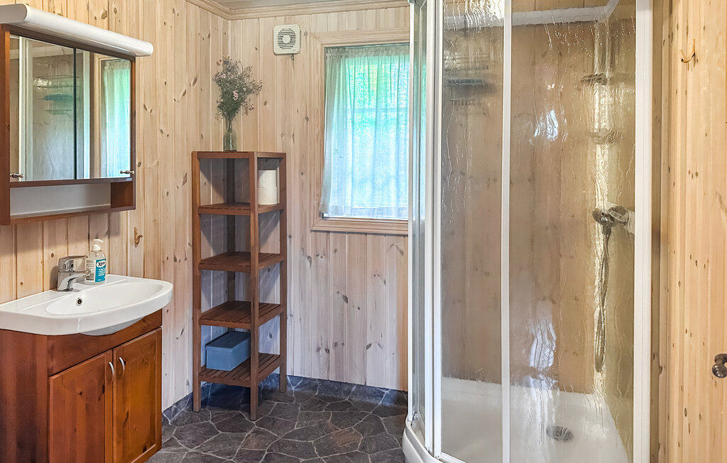 Domy wakacyjne - Ljosland/Åseral , Norwegia - NVI022 27