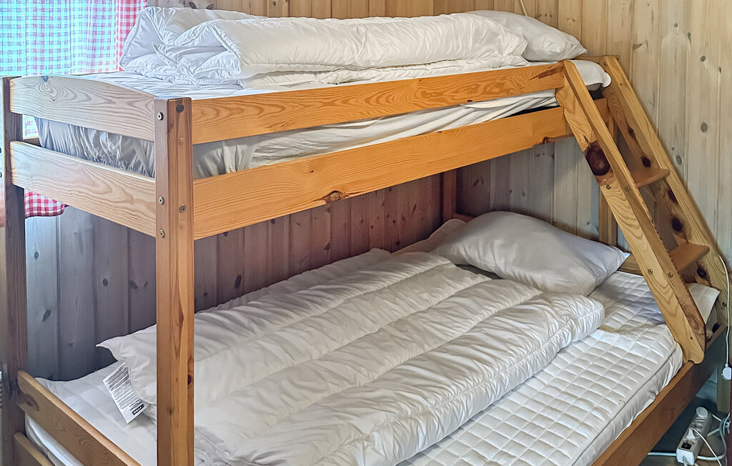 Domy wakacyjne - Ljosland/Åseral , Norwegia - NVI022 22