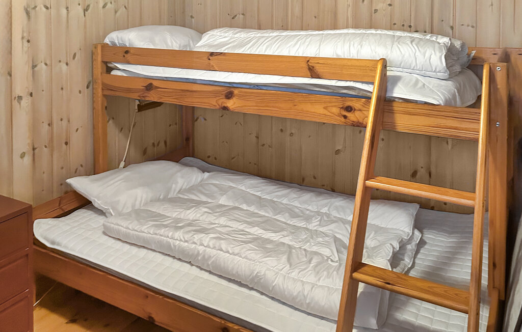 Domy wakacyjne - Ljosland/Åseral , Norwegia - NVI022 23