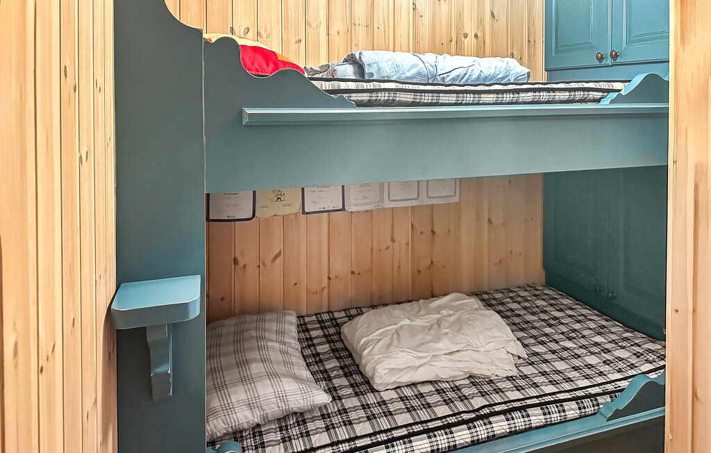 Domy wakacyjne - Ljosland/Åseral , Norwegia - NVI022 24