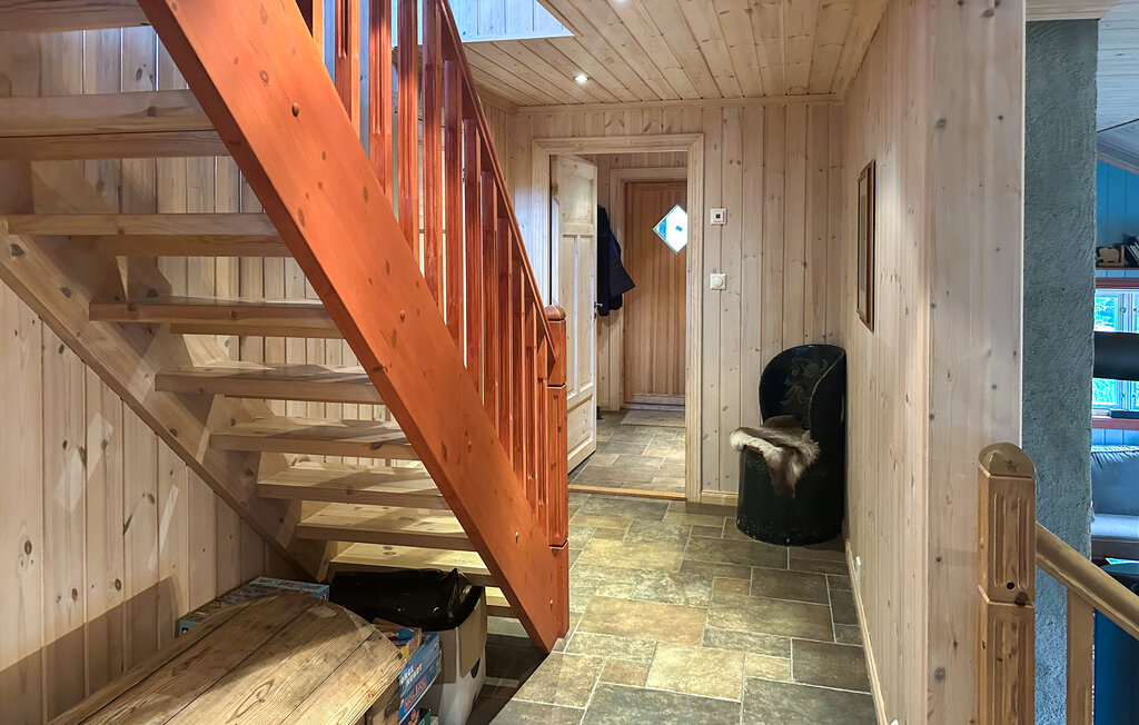 Domy wakacyjne - Ljosland/Åseral , Norwegia - NVI022 18