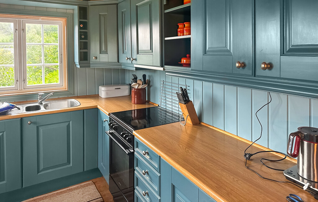 Domy wakacyjne - Ljosland/Åseral , Norwegia - NVI022 8