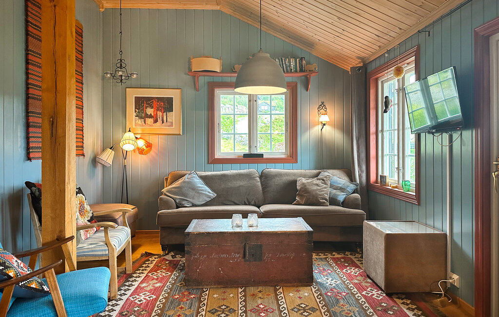 Domy wakacyjne - Ljosland/Åseral , Norwegia - NVI022 3