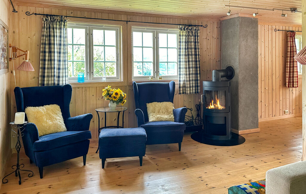 Domy wakacyjne - Ljosland/Åseral , Norwegia - NVI022 4