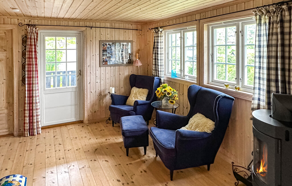 Domy wakacyjne - Ljosland/Åseral , Norwegia - NVI022 14