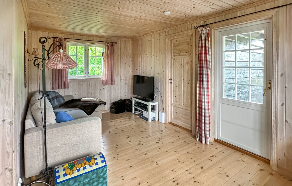 Domy wakacyjne - Ljosland/Åseral , Norwegia - NVI022 5