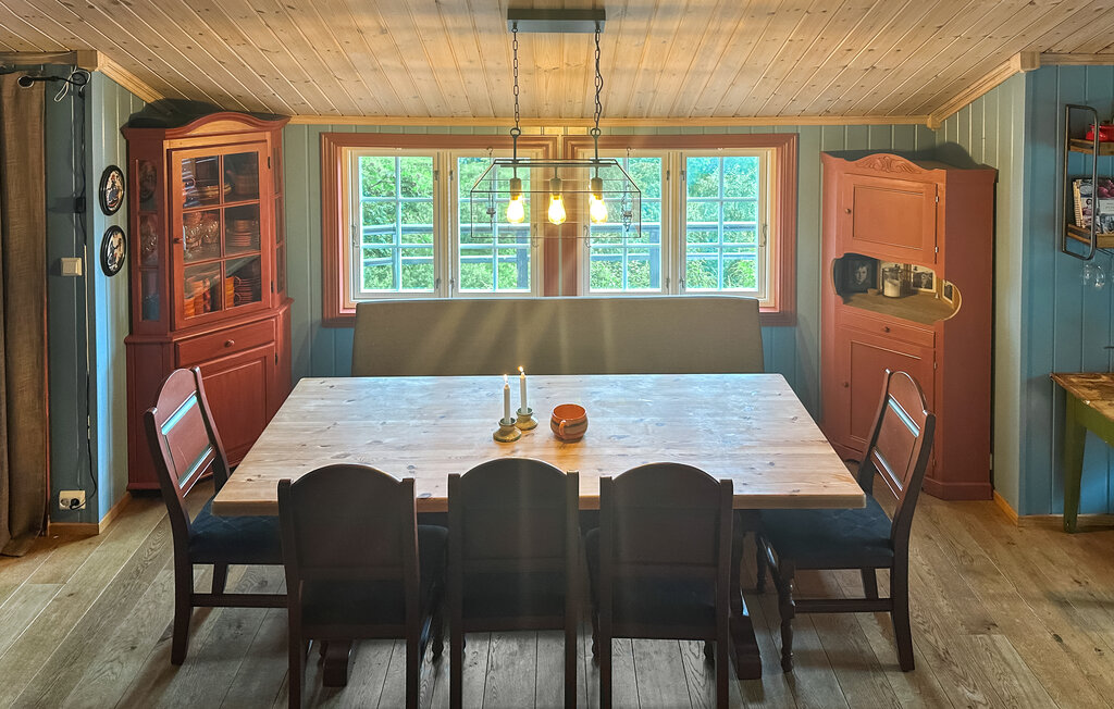 Domy wakacyjne - Ljosland/Åseral , Norwegia - NVI022 6