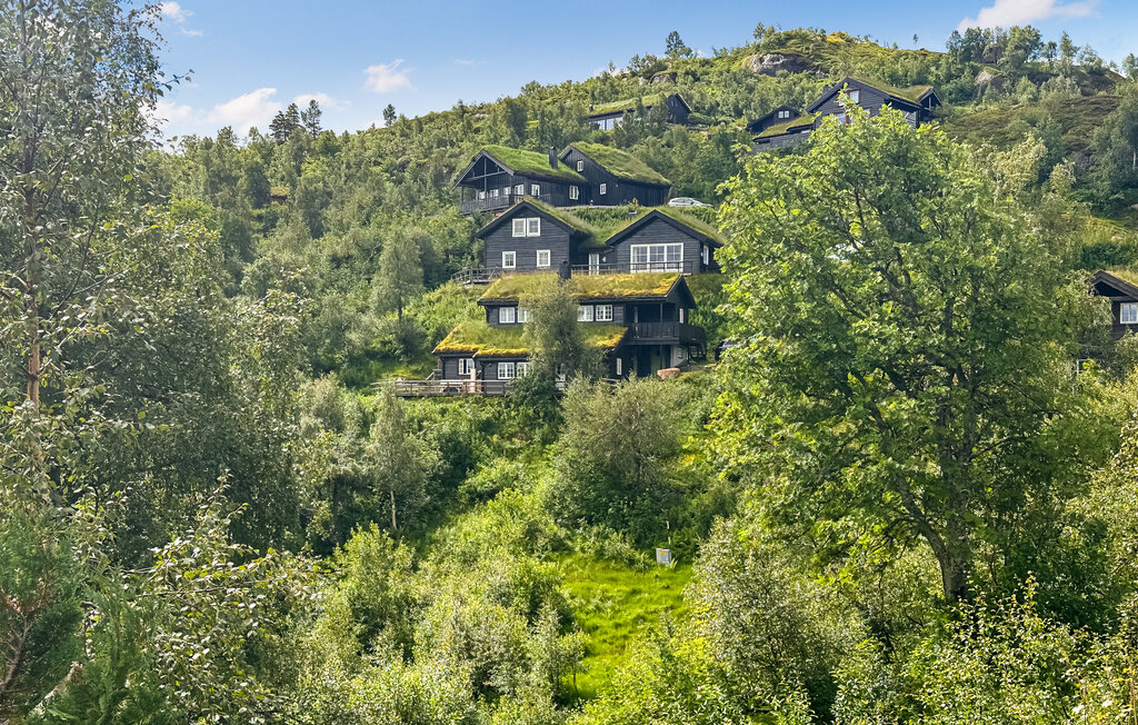 Domy wakacyjne - Ljosland/Åseral , Norwegia - NVI022 10
