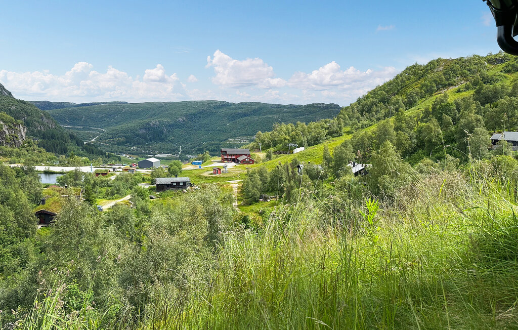 Domy wakacyjne - Ljosland/Åseral , Norwegia - NVI022 12