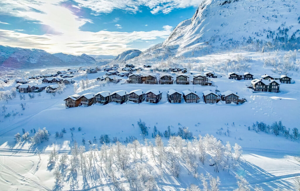 Domy wakacyjne - Hovden, Bykle , Norwegia - NVI023 9