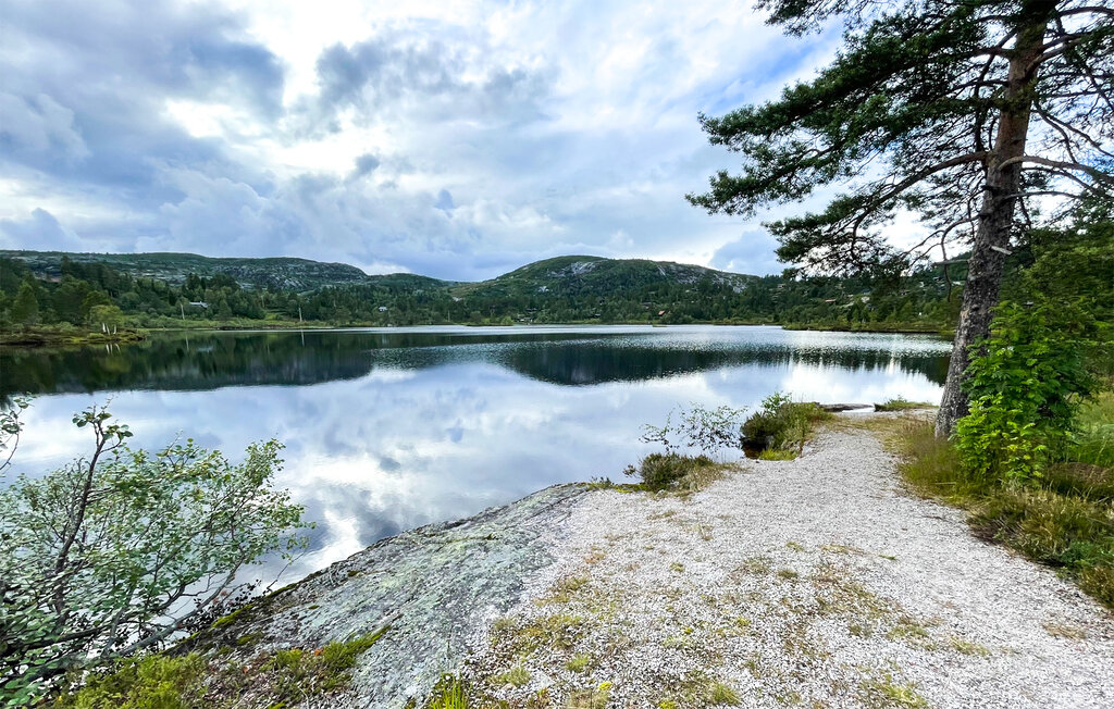 Ferienhaus - Bortelid, Åseral , Norwegen - NVI025 19