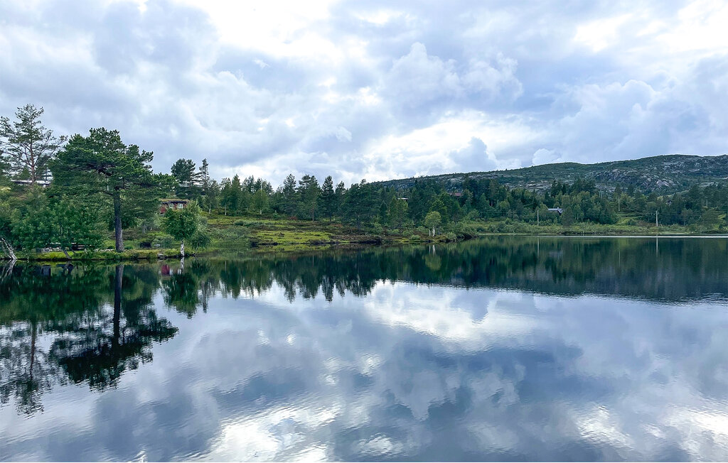 Ferienhaus - Bortelid, Åseral , Norwegen - NVI025 20