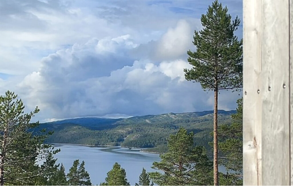 Ferienhaus - Bortelid, Åseral , Norwegen - NVI025 2