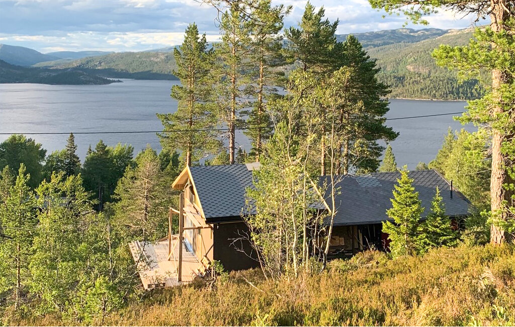 Ferienhaus - Bortelid, Åseral , Norwegen - NVI025 22