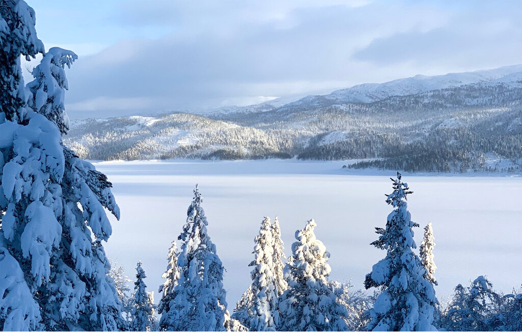 Ferienhaus - Bortelid, Åseral , Norwegen - NVI025 24