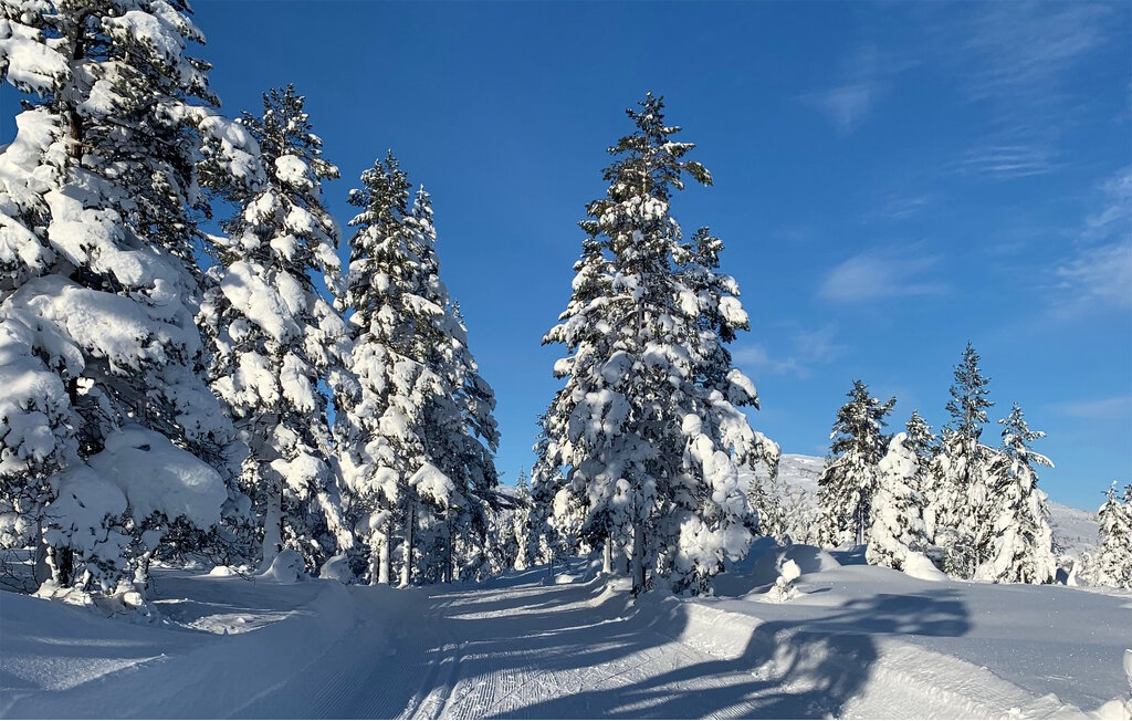 Ferienhaus - Bortelid, Åseral , Norwegen - NVI025 25