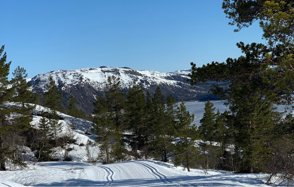 Ferienhaus - Bortelid, Åseral , Norwegen - NVI025 26