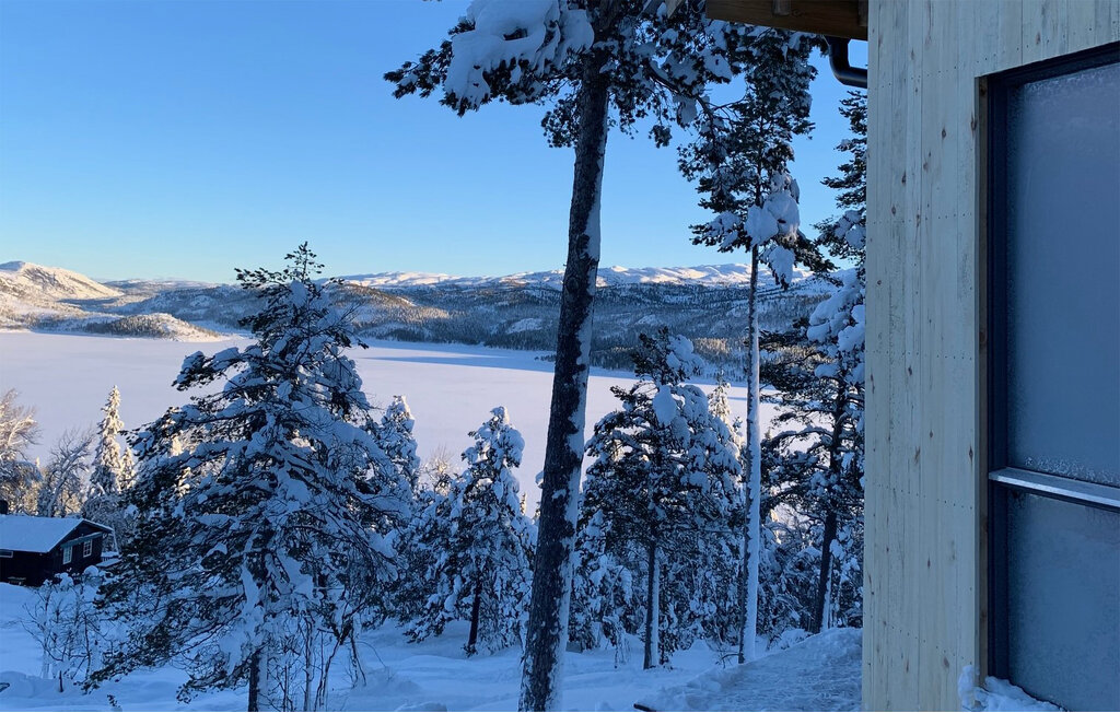 Ferienhaus - Bortelid, Åseral , Norwegen - NVI025 27