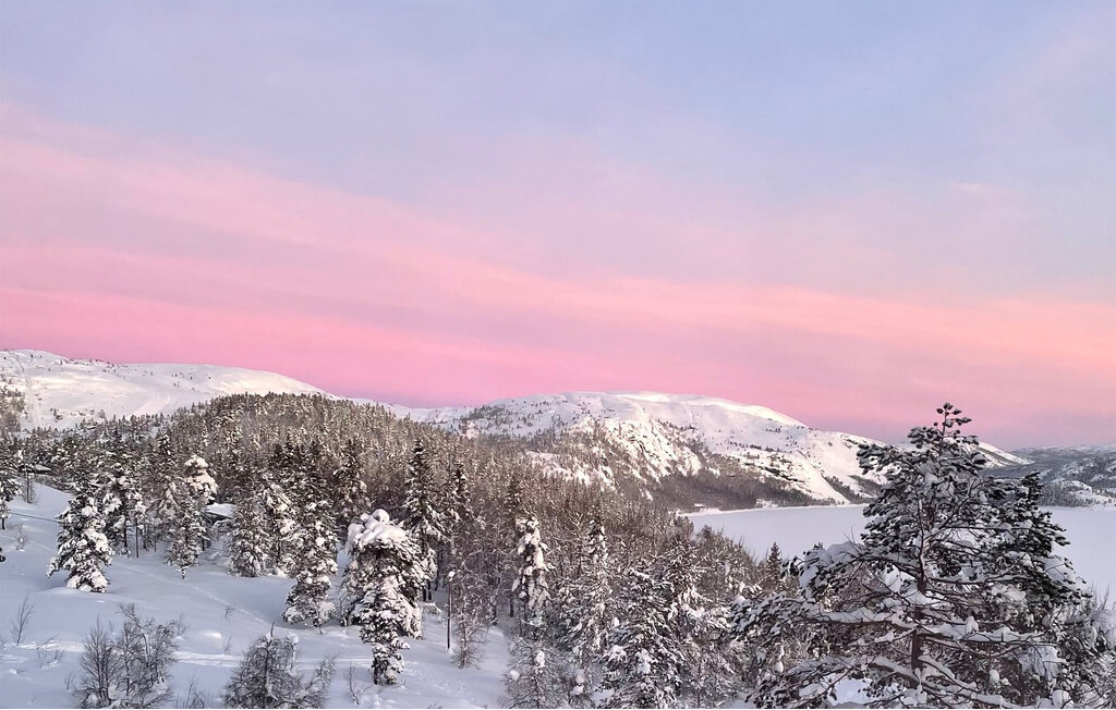 Ferienhaus - Bortelid, Åseral , Norwegen - NVI025 7